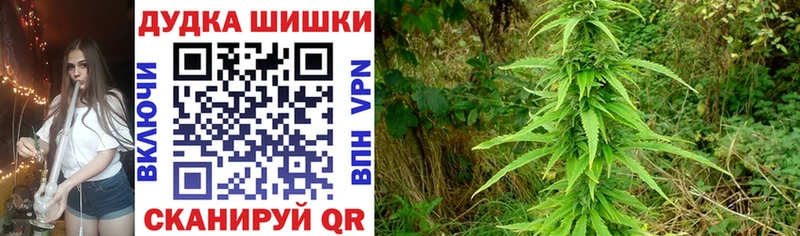 Наркошоп купить АМФ  Кокаин  A PVP  Мефедрон  ГАШИШ  Энем