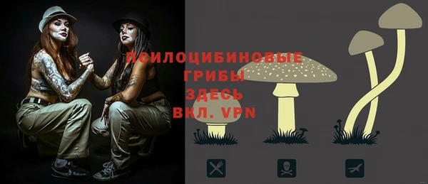 дживик Дмитриев