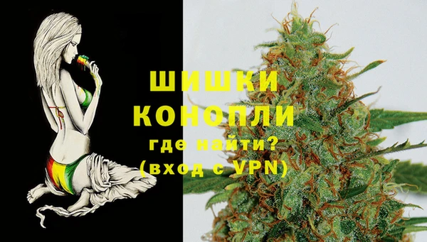 spice Гусиноозёрск