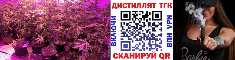 Дистиллят ТГК гашишное масло  Купить где  Энем 